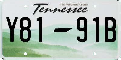 TN license plate Y8191B