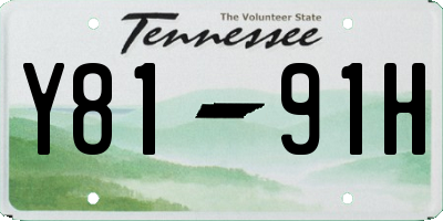TN license plate Y8191H