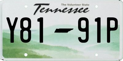 TN license plate Y8191P