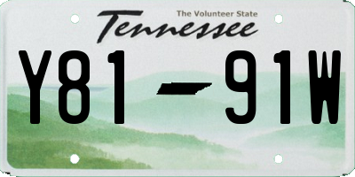 TN license plate Y8191W