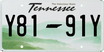 TN license plate Y8191Y