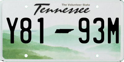 TN license plate Y8193M