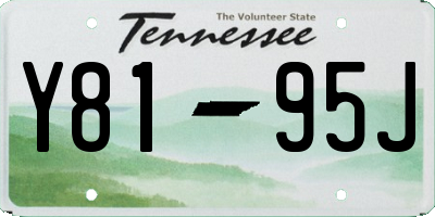 TN license plate Y8195J