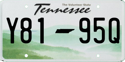TN license plate Y8195Q
