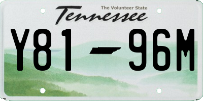 TN license plate Y8196M