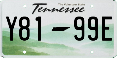 TN license plate Y8199E
