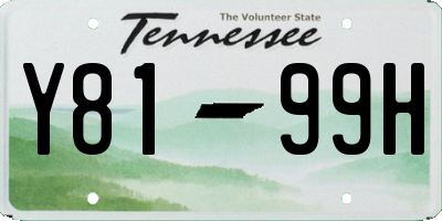 TN license plate Y8199H