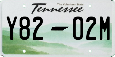 TN license plate Y8202M