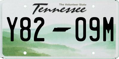 TN license plate Y8209M