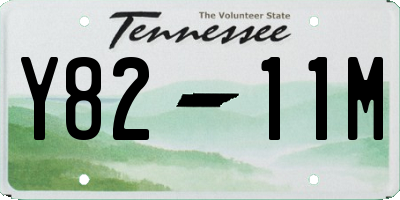 TN license plate Y8211M