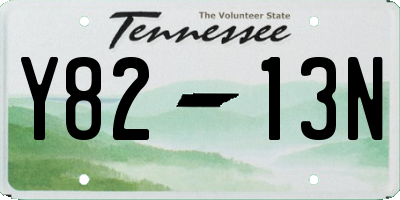 TN license plate Y8213N