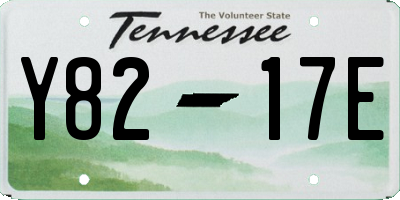 TN license plate Y8217E