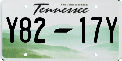TN license plate Y8217Y