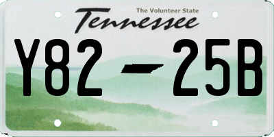TN license plate Y8225B