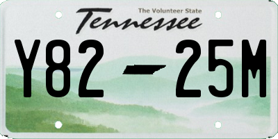 TN license plate Y8225M