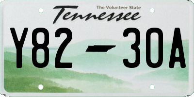 TN license plate Y8230A