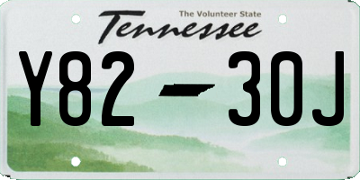 TN license plate Y8230J