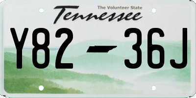TN license plate Y8236J