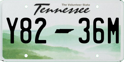 TN license plate Y8236M