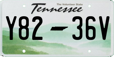 TN license plate Y8236V