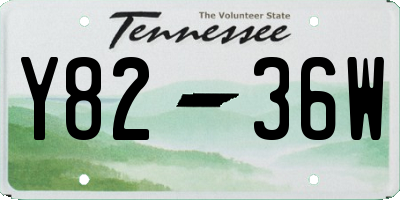 TN license plate Y8236W