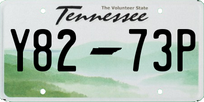 TN license plate Y8273P
