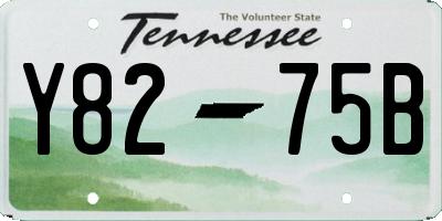 TN license plate Y8275B