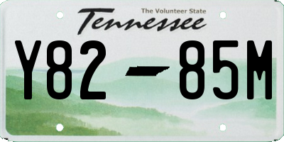 TN license plate Y8285M