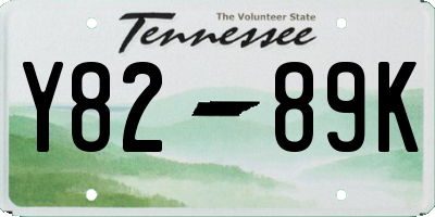TN license plate Y8289K