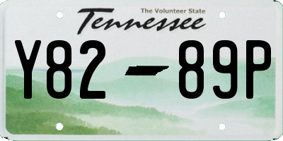 TN license plate Y8289P