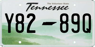 TN license plate Y8289Q