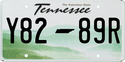TN license plate Y8289R