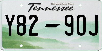 TN license plate Y8290J