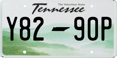 TN license plate Y8290P
