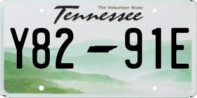 TN license plate Y8291E