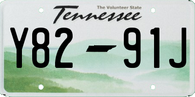 TN license plate Y8291J