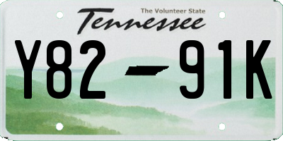 TN license plate Y8291K