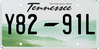 TN license plate Y8291L
