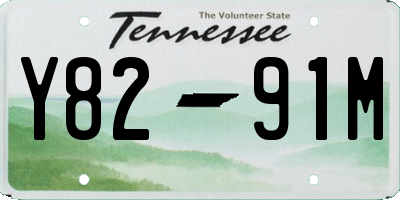 TN license plate Y8291M