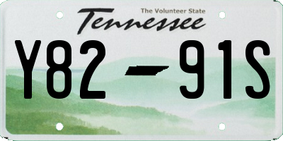 TN license plate Y8291S