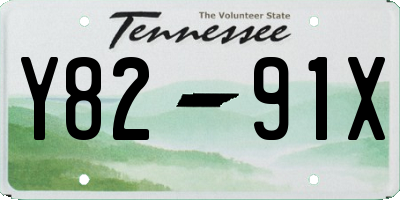 TN license plate Y8291X