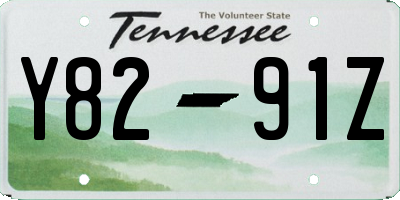 TN license plate Y8291Z