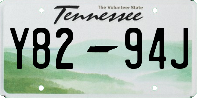 TN license plate Y8294J