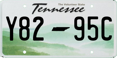 TN license plate Y8295C