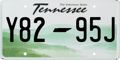 TN license plate Y8295J