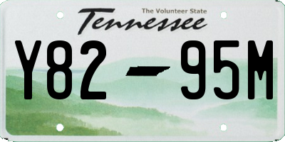 TN license plate Y8295M