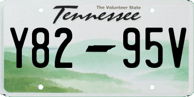 TN license plate Y8295V