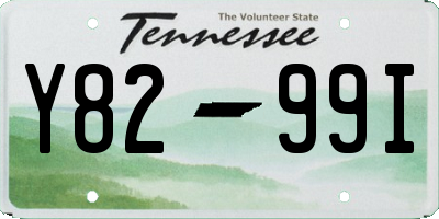 TN license plate Y8299I