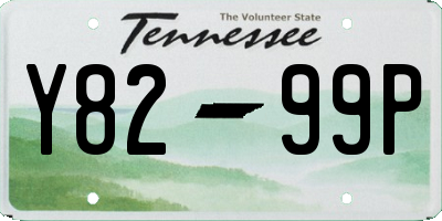 TN license plate Y8299P