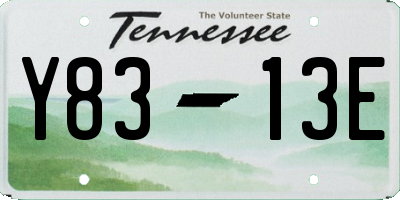TN license plate Y8313E